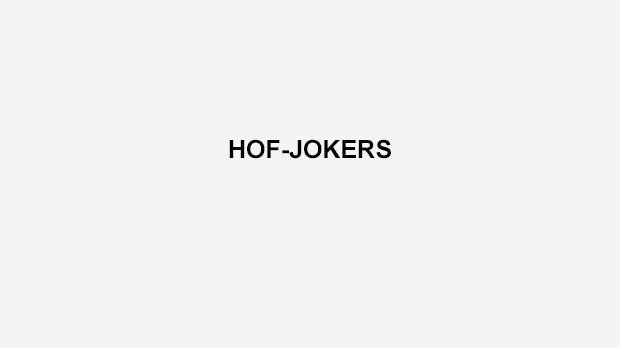 
                <strong>Hof-Jokers</strong><br>
                "Shut up and play football!", lautet der Slogan der Hof-Jokers. 2015 wurde das Team Meister der Landesliga Nord.
              