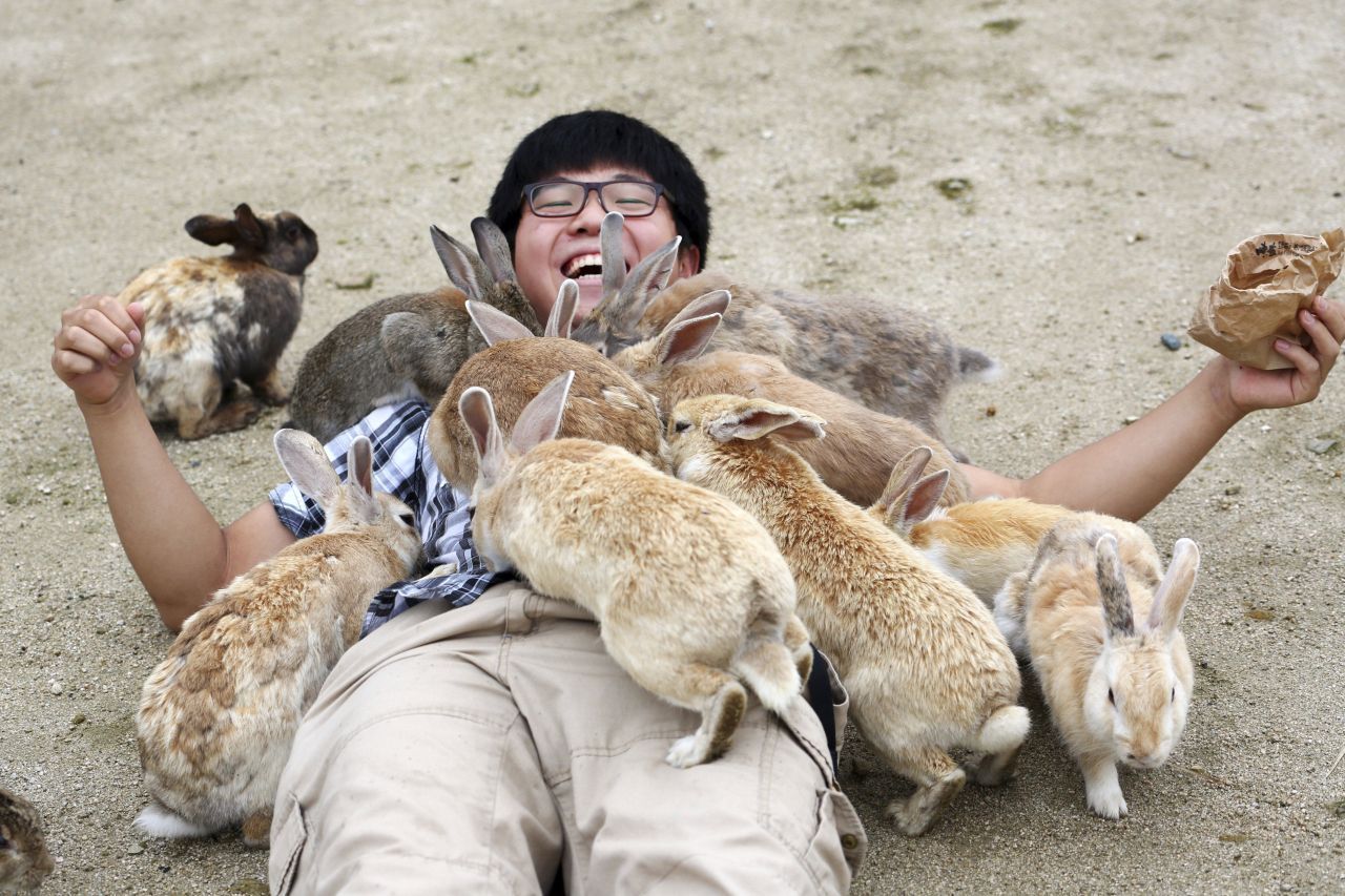 Hiroshimas Kanincheninsel: Okunoshima wurde zum Tierparadies | Galileo