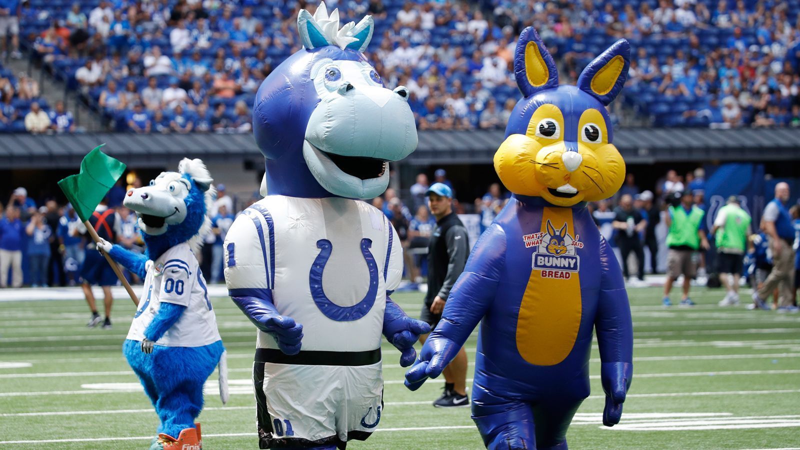 
                <strong>Indianapolis Colts: Blue</strong><br>
                Erinnert ein wenig an den HSV-Dino Hermann, ist aber Colts-Maskottchen Blue. Als Lieblingssong des pferdeähnlichen Plüschmonsters geben die Colts "Blue" von "Eiffel 65" an. Und offenbar sind überlebensgroße Hasen die Lieblingsgesellschaft von Blue.
              