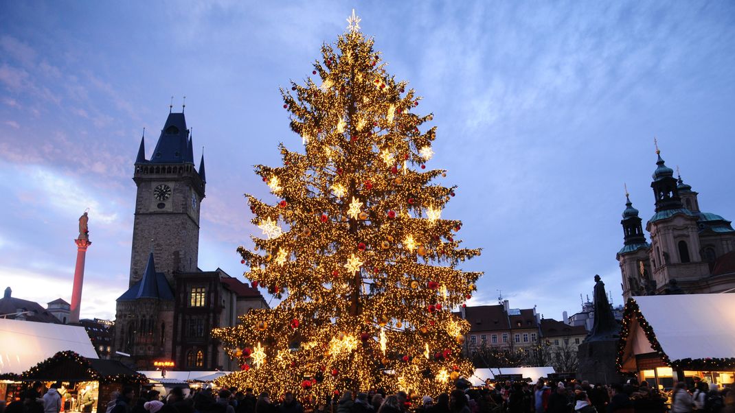 Erstrahlt in hellen Farben: Ein Tannenbaum darf zu Weihnachten nicht fehlen