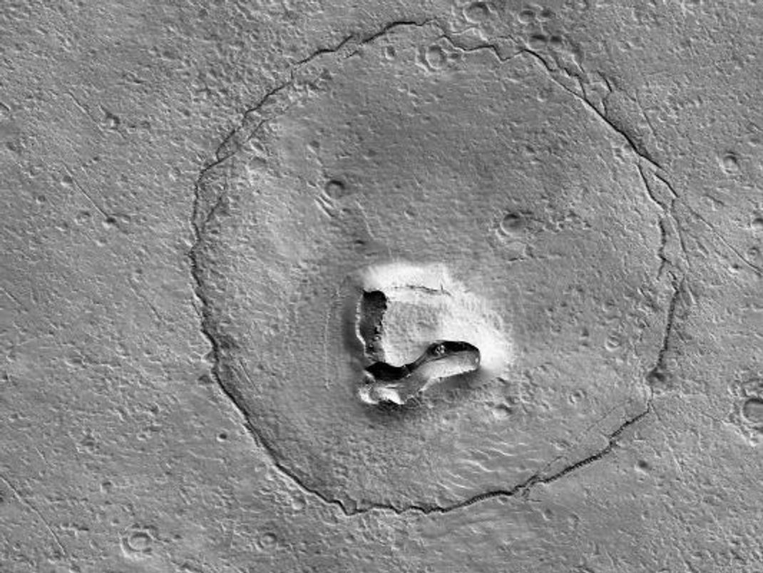Die "HiRISE"-Kamera der Nasa-Raumsonde Mars Reconnaissance Orbiter (MRO) hat diesen "Bären" auf dem Mars entdeckt.