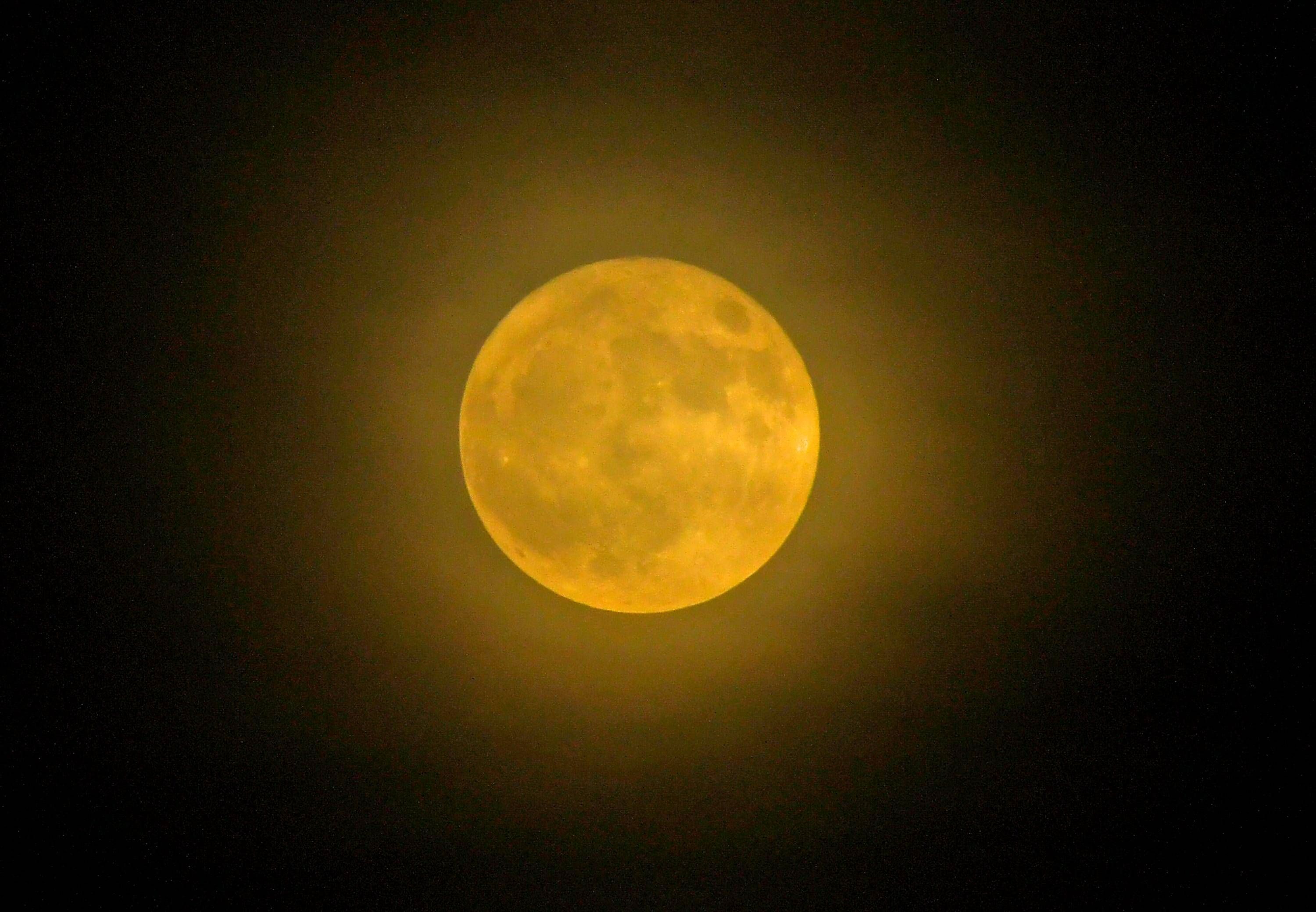 Supermond über Florida. Beim Supermond befindet sich der Mond der Erde überdurchschnittlich nah, was ihn besonders groß und hell erscheinen lässt.&nbsp;