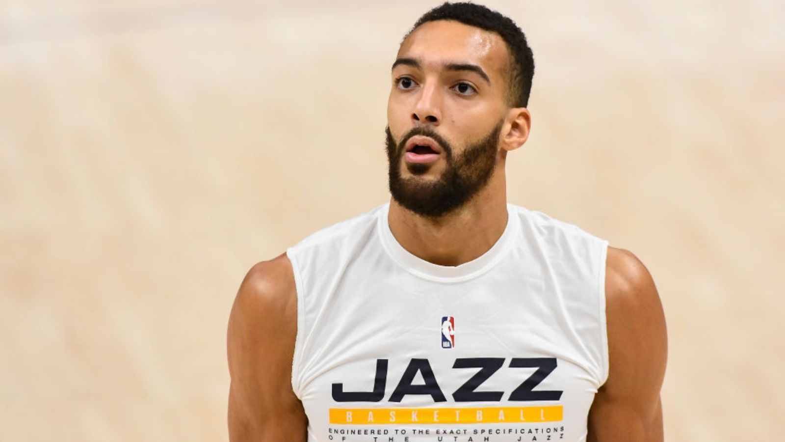 
                <strong>Rudy Gobert (Utah Jazz)</strong><br>
                 - Punkte: 14,2 - Rebounds: 13,1 - Assists: 1,3 - All-Star-Nominierungen: 2
              