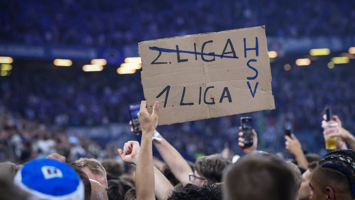 Die HSV-Fans feiern den Aufstieg in die Bundesliga