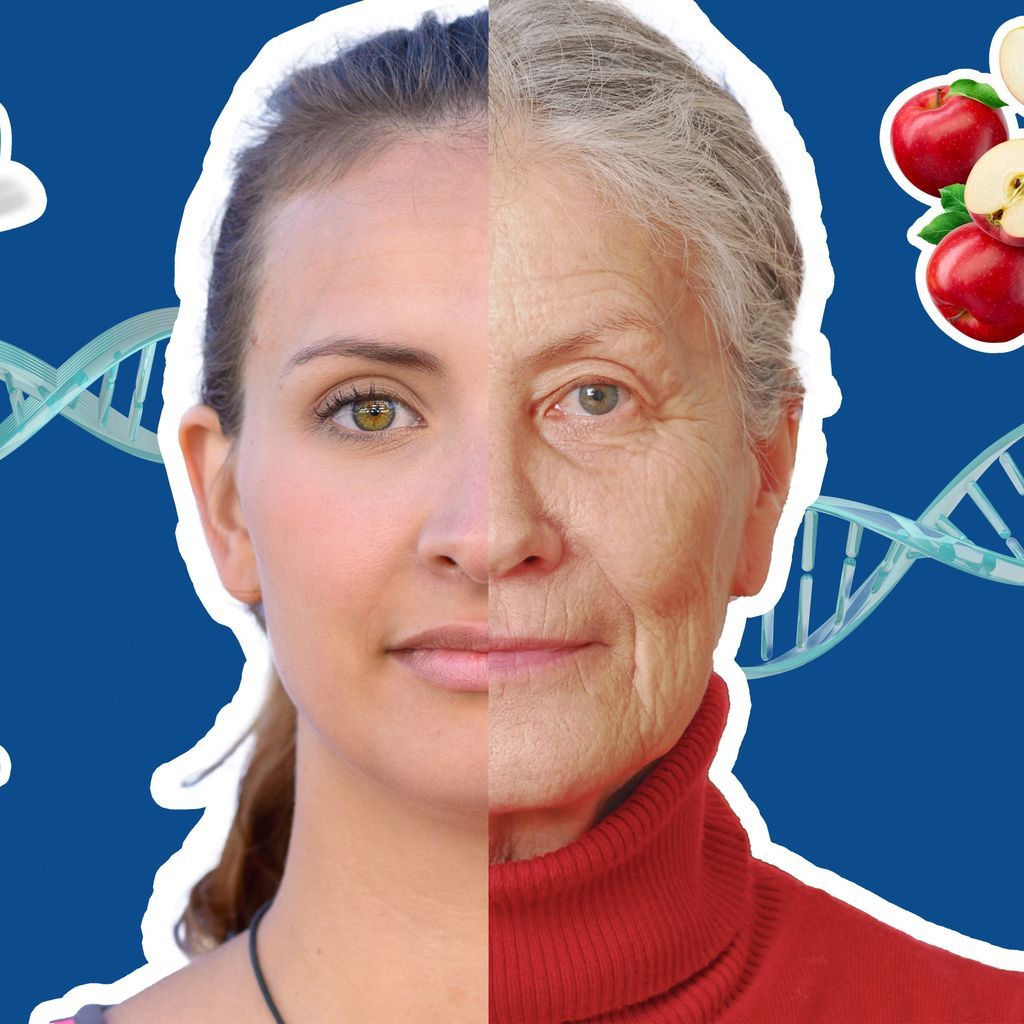 Longevity-Trend im Check: So kannst du dein biologisches Alter beeinflussen 