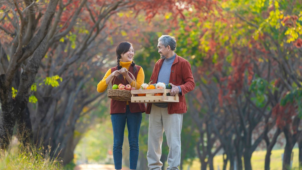 Abnehmen mit Herbst-Obst und -Gemüse 