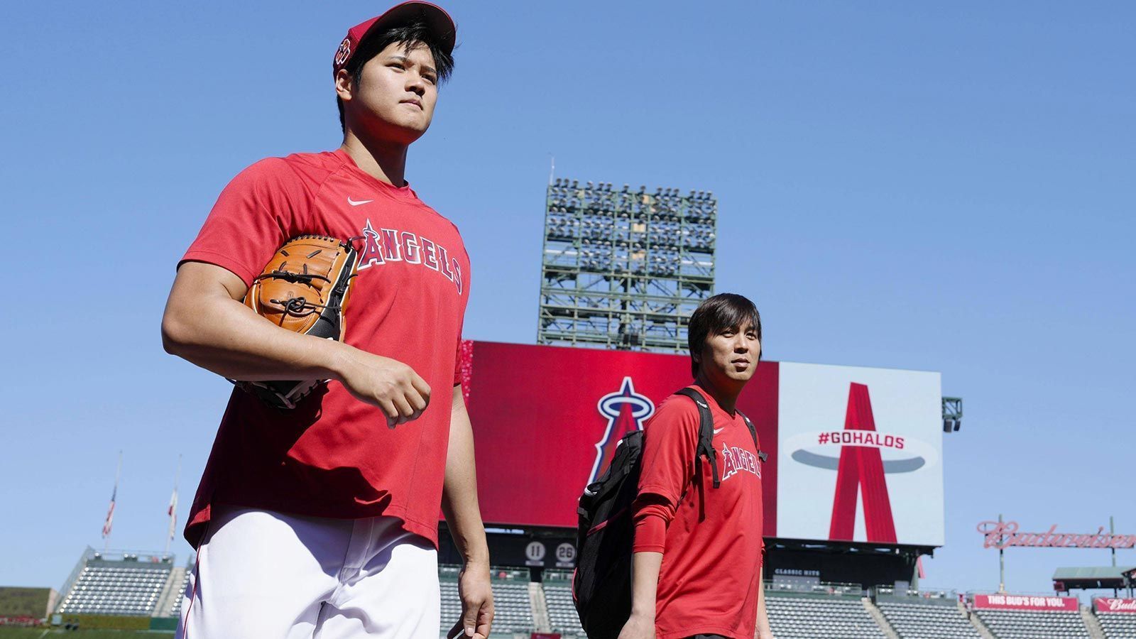 
                <strong>Platz 3 (geteilt): Los Angeles Angels</strong><br>
                &#x2022; MLB<br>&#x2022; Letzte Playoff-Teilnahme: 2015 (sieben Jahre)<br>
              