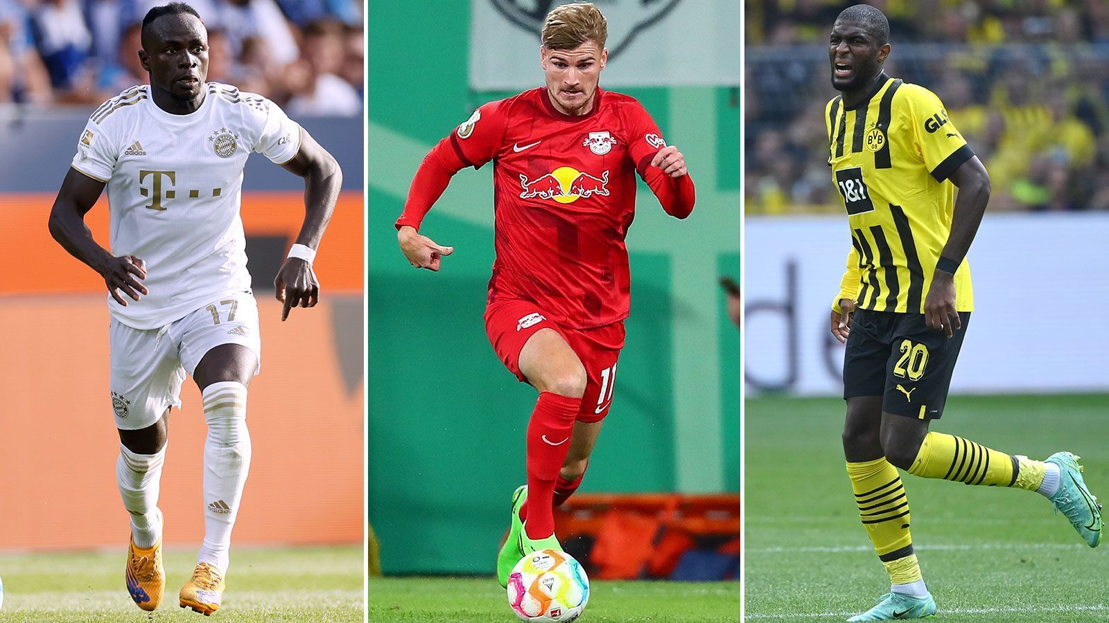 
                <strong>Mane, Werner und Co. - Die Neuzugänge der Bundesligisten</strong><br>
                Und Schluss! Das Transferfenster hat geschlossen. Die Bayern haben einen der wildesten Sommer hinter sich, aber auch der BVB hat sich einige namenhafte Spieler gesichert. ran zeigt euch alle Neuzugänge der Bundesligisten. (Quelle: transfermarkt.de/Stand: 01.09.2022)
              