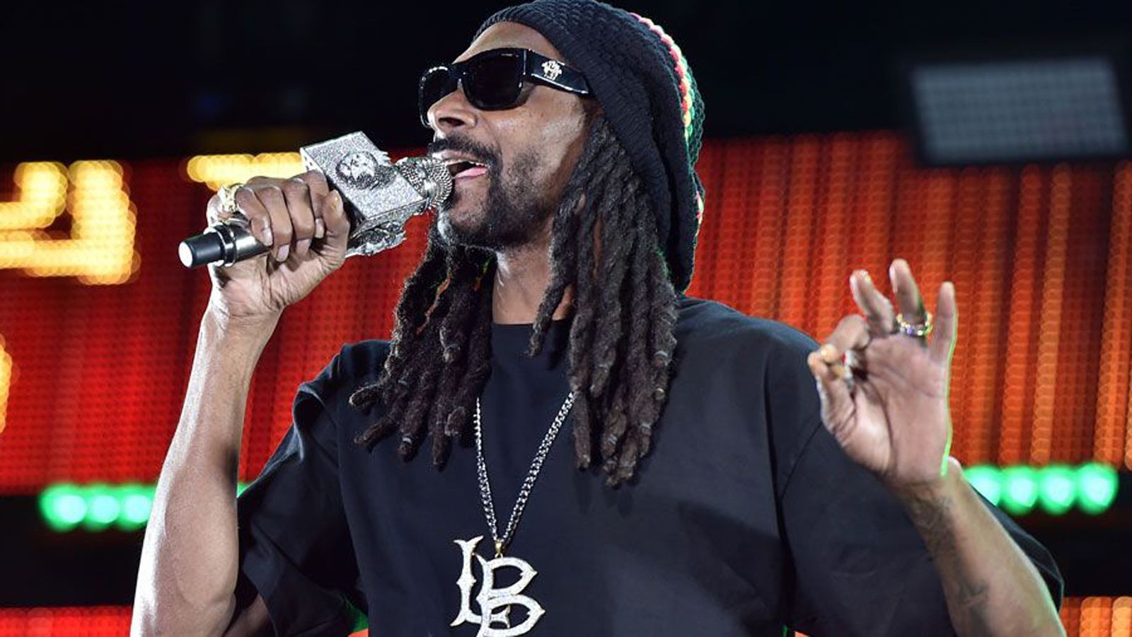 
                <strong>Snoop Dogg (Pittsburgh Steelers)</strong><br>
                Obwohl US-Rap-Superstar Snoop Dogg in Kalifornien aufgewachsen ist, hat er sein Herz schon im Kindesalter an die Pittsburgh Steelers aus dem US-Bundesstaat Pennsylvania verloren. "In den Siebziger Jahren war man in Kalifornien entweder ein Fan der Steelers oder der Raiders und jeder entschied sich für die Raiders. Aber ich wollte nicht das Gleiche machen wie alle anderen und wurde zum Steelers-Fan", erklärte Snoop Dogg gegenüber "steelers.com".
              