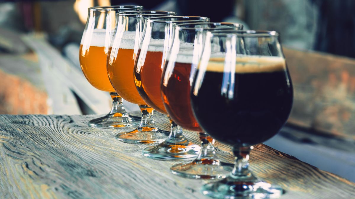 Glasses of different kinds of beer on wooden background