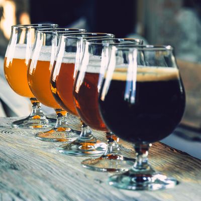 Glasses of different kinds of beer on wooden background