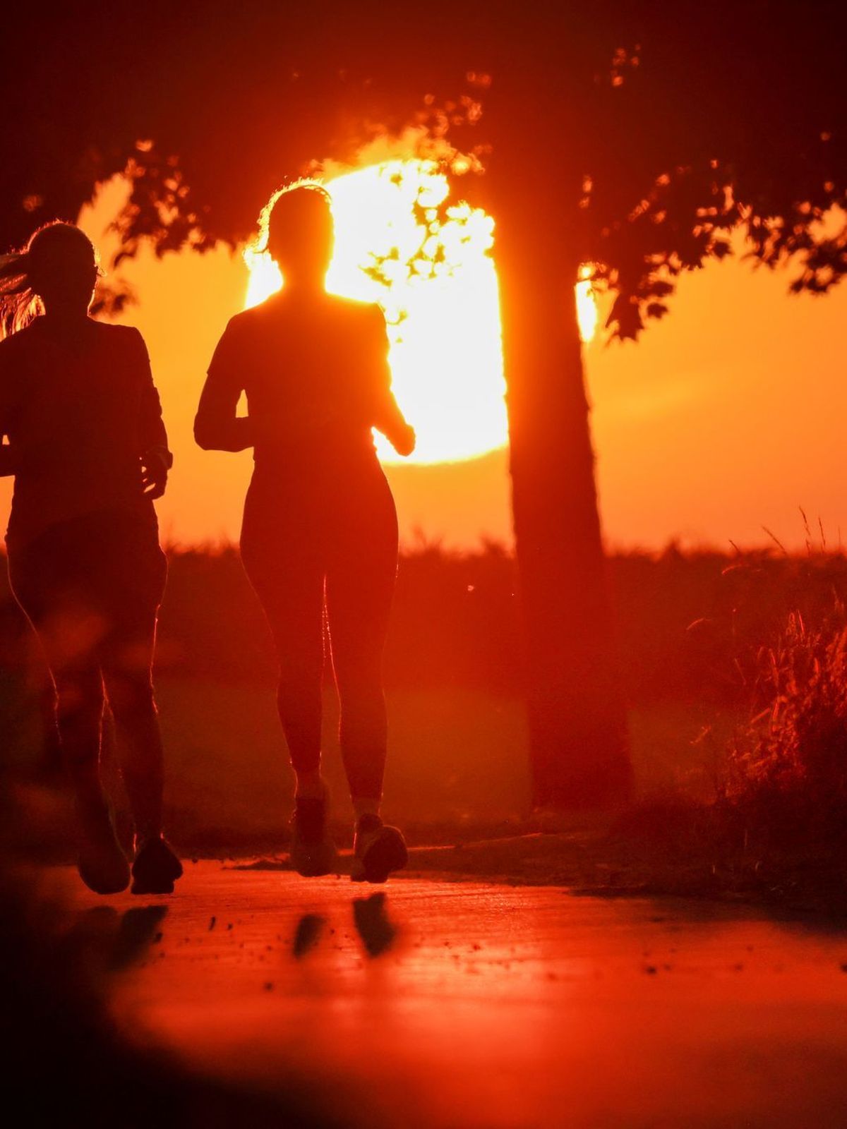 Sommer kehrt zurück