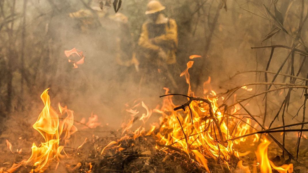Allein im Juni 2024 gab es im Pantanal 2.639 Brände.