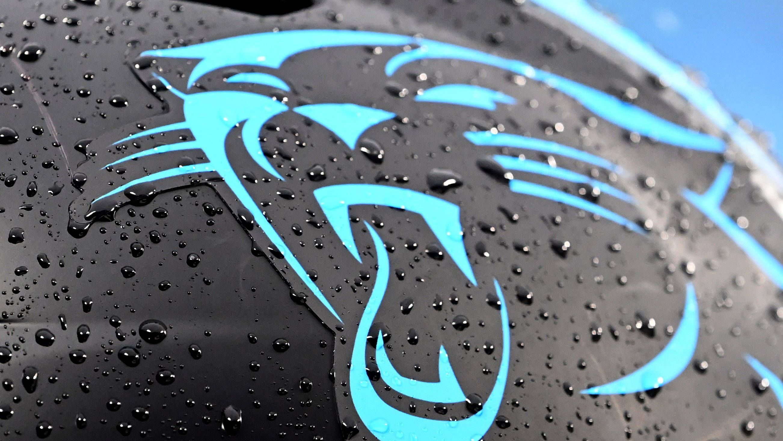<strong>Carolina Panthers</strong><br>Preis: 2,28 Milliarden Dollar<br>Jahr des Verkaufs: 2018