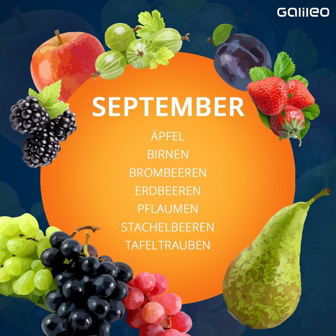 Saisonkalender Obst