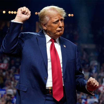 Der republikanische Präsidentschaftskandidat und ehemalige US-Präsident Donald Trump schießt immer wieder gegen seine Kontrahentin Kamala Harris. 
