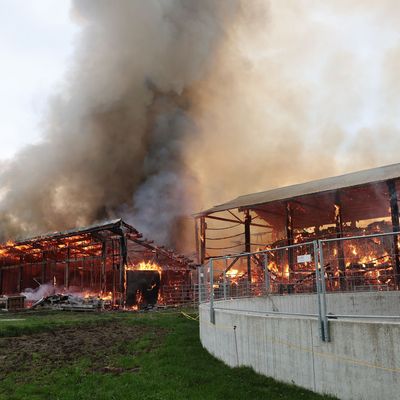 Millionenschaden durch Brand in einem Stadel