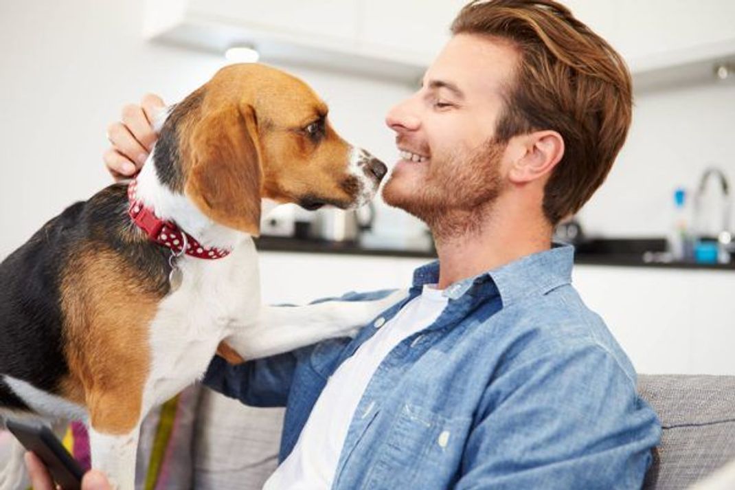 Bester Freund! Hunde leben oft eng mit Menschen zusammen und sind so auch ähnlichen Umwelt- und Lebensbedingungen ausgesetzt.