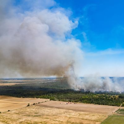 Waldbrand in der Gohrischheide