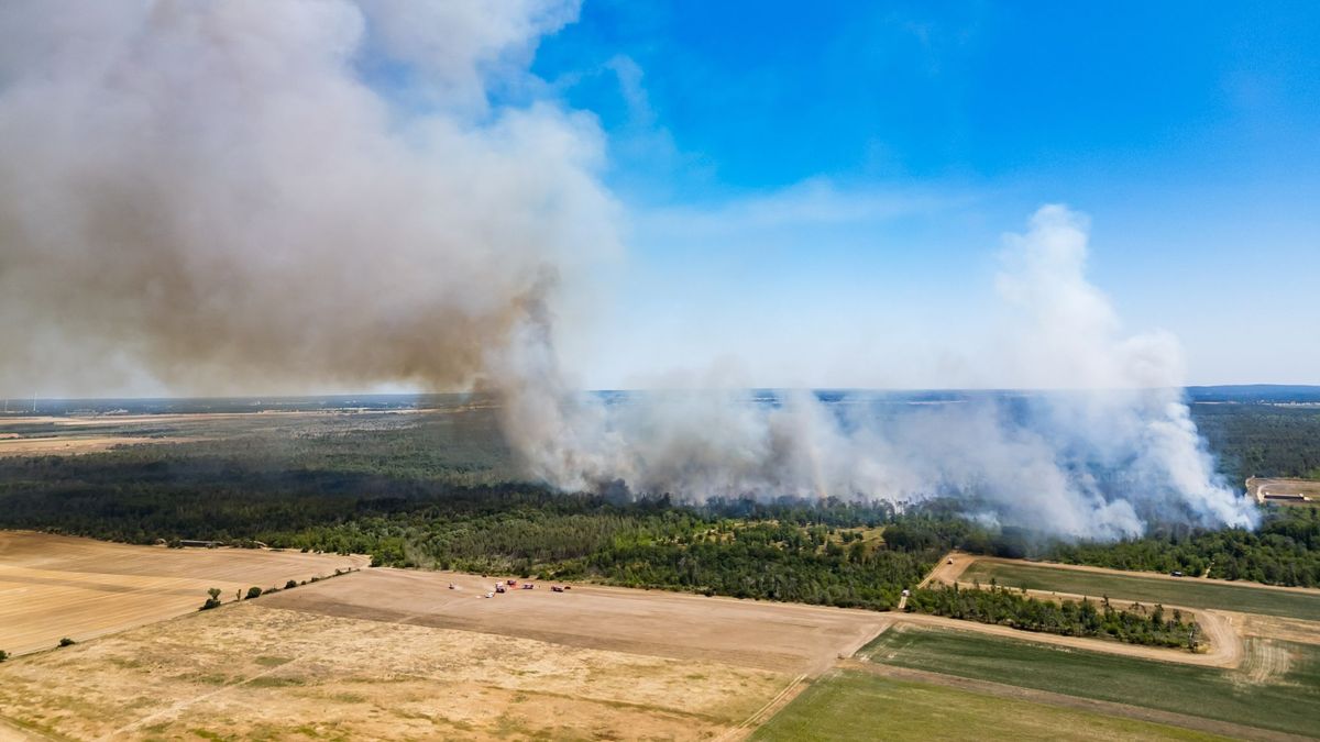 Waldbrand in der Gohrischheide