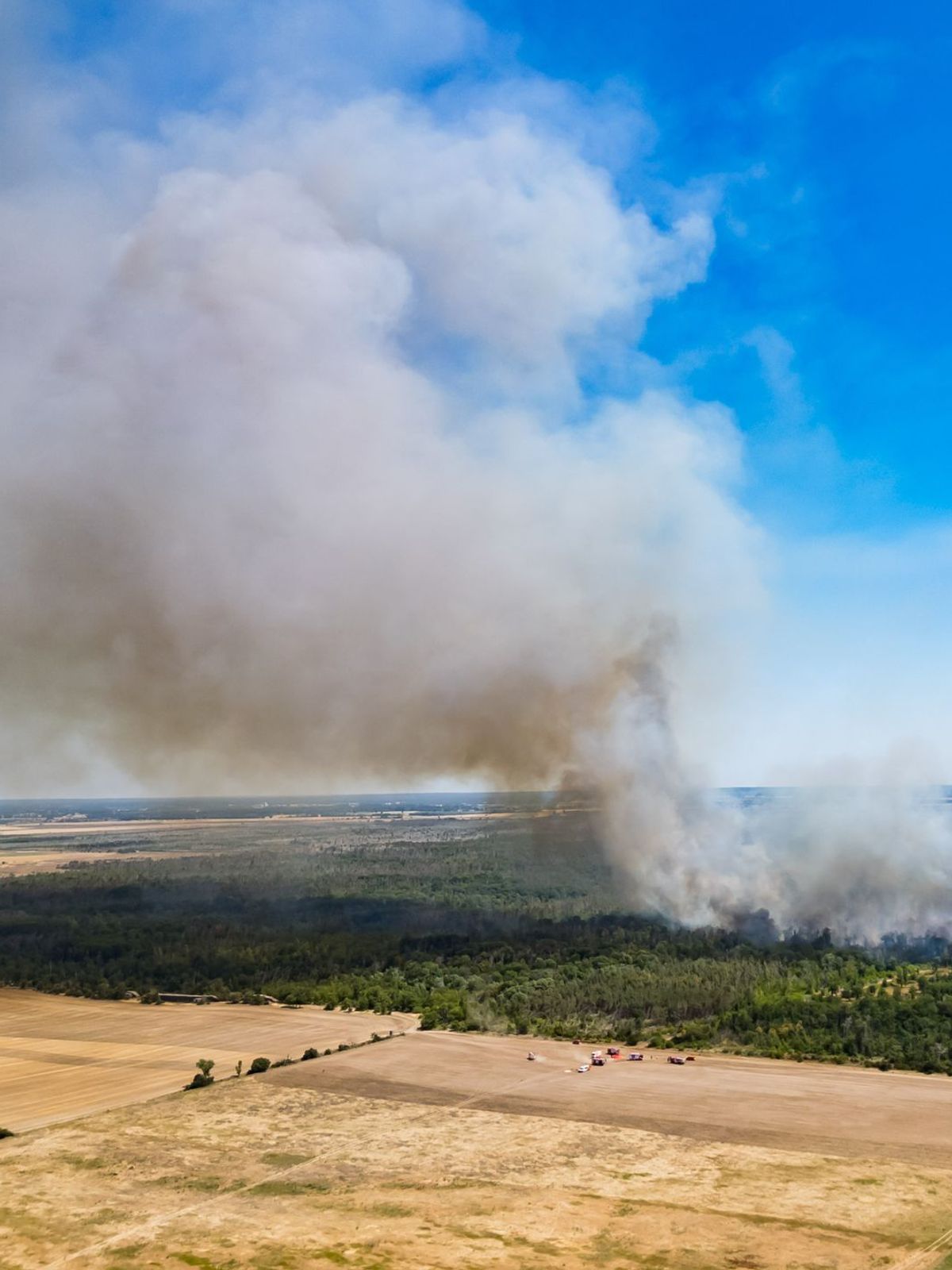 Waldbrand in der Gohrischheide