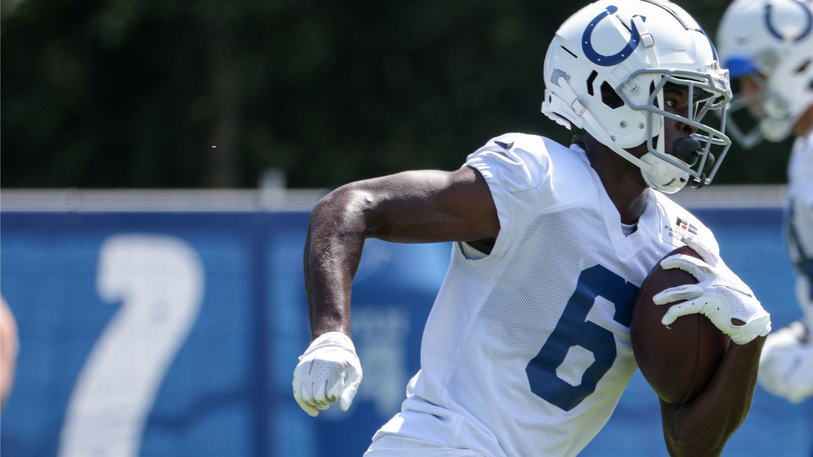 
                <strong>Isaiah Ford (Wide Receiver)</strong><br>
                Auch Isaiah Ford muss sich nach einem neuen Team umsehen. Der Wide Receiver bzw. Return-Spezialist, der von den Miami Dolphins gedraftet und über den Umweg New England Patriots bei den Indianapolis Colts landete, fiel der Kaderverringerung zum Opfer. Ford kommt auf 25 NFL-Spiele, 497 Yards und 2 Touchdowns.
              