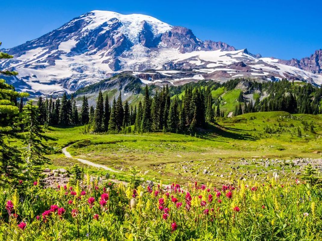 Wandern im Frühling – die besten Routen für den Frühlingsanfang