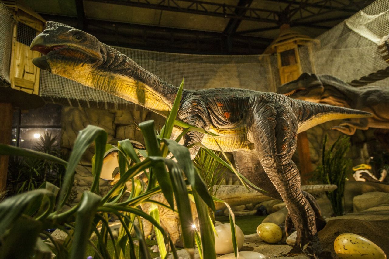 Im Dino Adventure Park in Weiterstadt/Hessen gibt es lebensgroße Saurier-Nachbildungen, die sich sogar bewegen und Geräusche machen. Dieses hier ist ein Oviraptor.