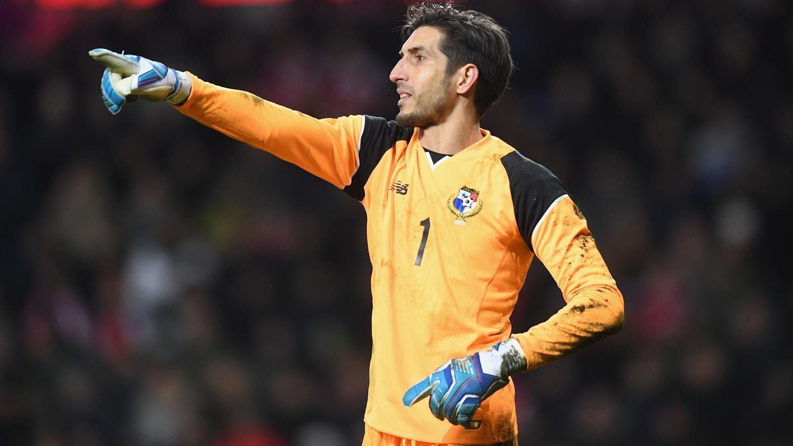 
                <strong>Platz 8: Jaime Penedo (Panama)</strong><br>
                Alter: 36Geburtstag: 26. September 1981
              