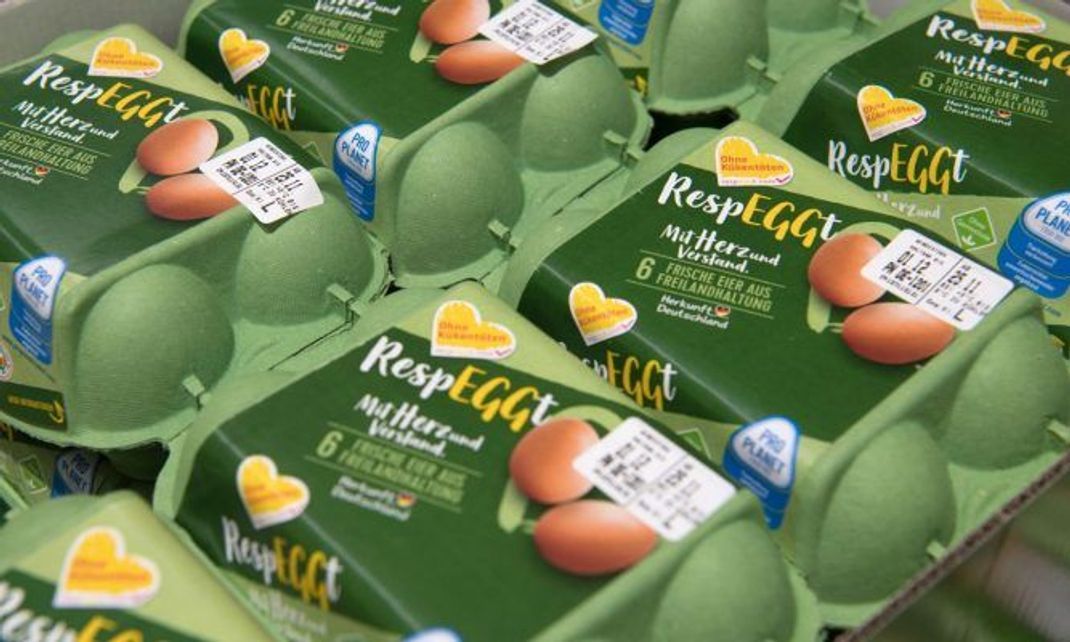 Erste Eierschachteln mit dem Label "Ohne Kükentöten" stehen bereits in den Supermärkten Deutschlands.