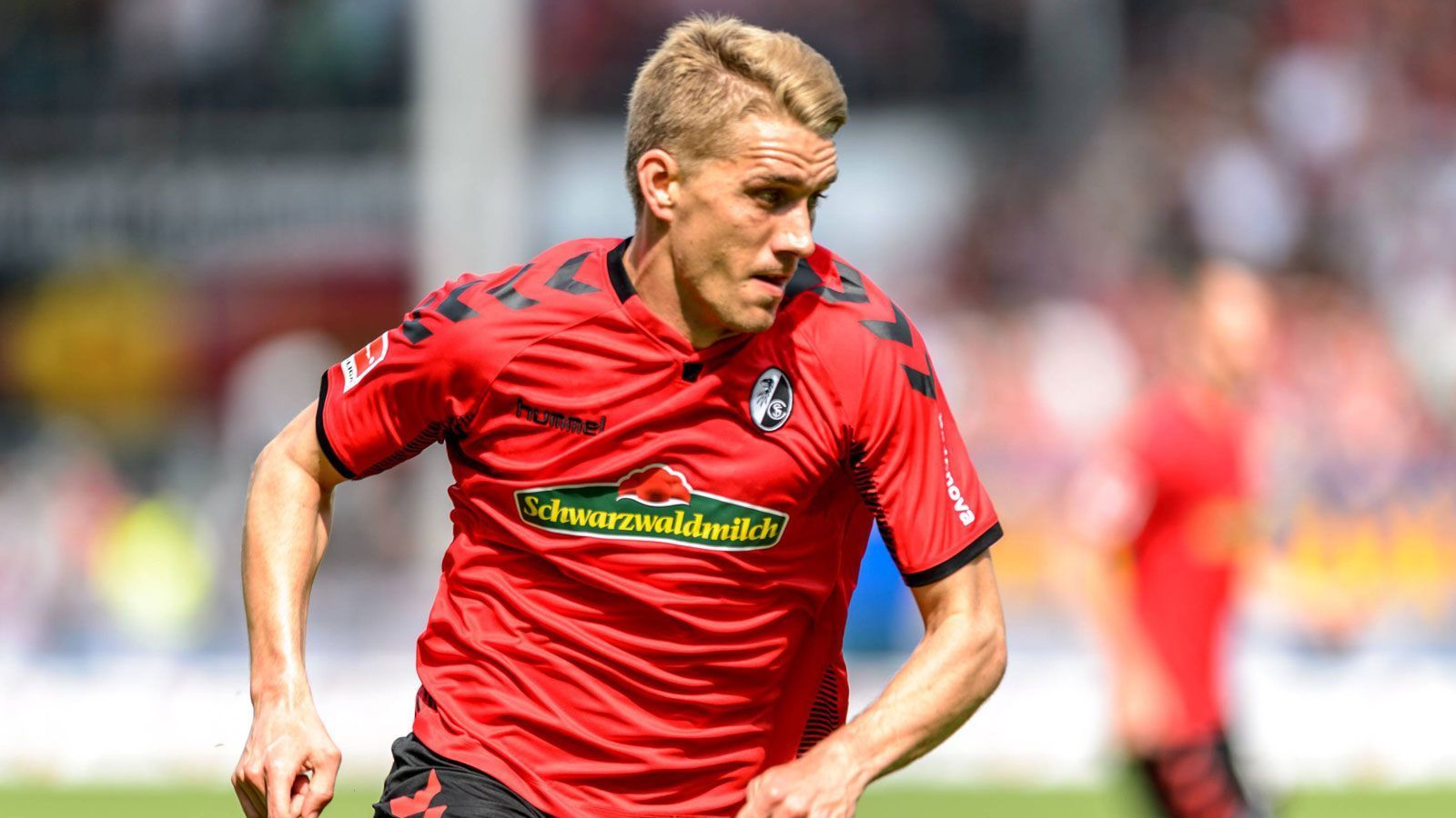 
                <strong>Nils Petersen (Deutschland)</strong><br>
                Als Fußball-Deutschland mit einer Nominierung von Sandro Wagner rechtete, zauberte Bundestrainer Joachim Löw Nils Petersen aus dem Hut. Der Freiburger überzeugte den Trainerstab, weil er in einer Mannschaft, die naturgemäß er wenige Torchancen erspielt, 15 Treffer erzielte. Außerdem schätzt Löw an Petersen seine Joker-Qualitäten. "Er ist sofort da, wenn man ihn einwechselt", begründete Löw seine Entscheidung. 
              