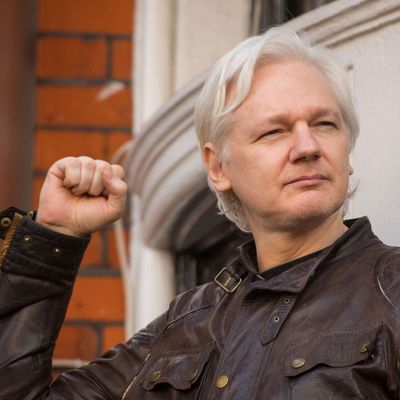 Julian Assange 448311106