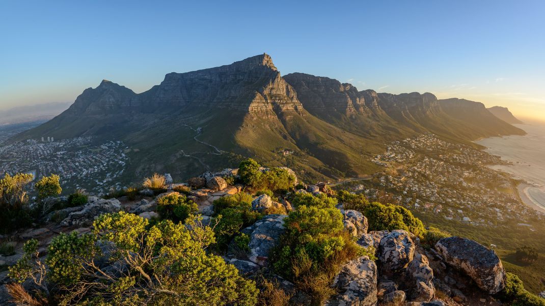 Safari und Natur pur: Südafrika bietet einen Abenteuer-Urlaub.