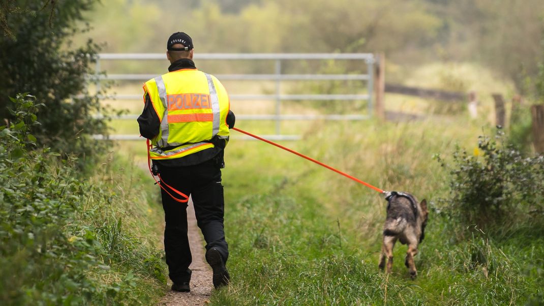 Auf der Suche nach vermissten Personen kommen regelmäßig Spürhunde zum Einsatz (Symbolbild).