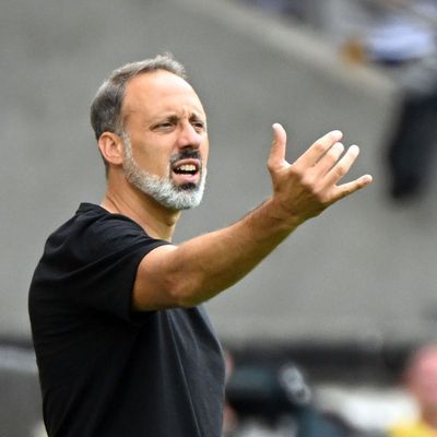 VfB Stuttgart trennt sich von Trainer Matarazzo