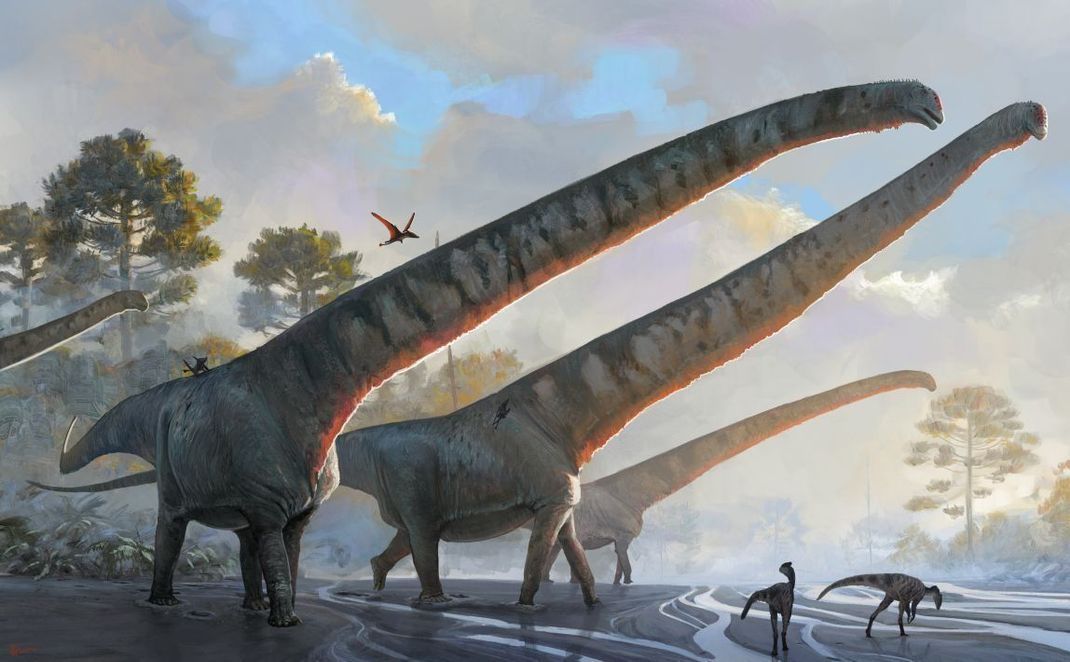 So lang wie sechs Giraffenhälse zusammen - mit 15 Metern ist der Hals des neuentdeckten Dinosauriers "Mamenchisaurus  sinocanadorums" derzeitiger Rekordhalter.