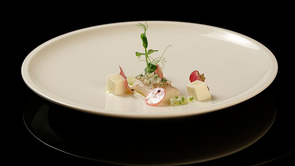 Duett von der Forelle - The Taste - SAT.1