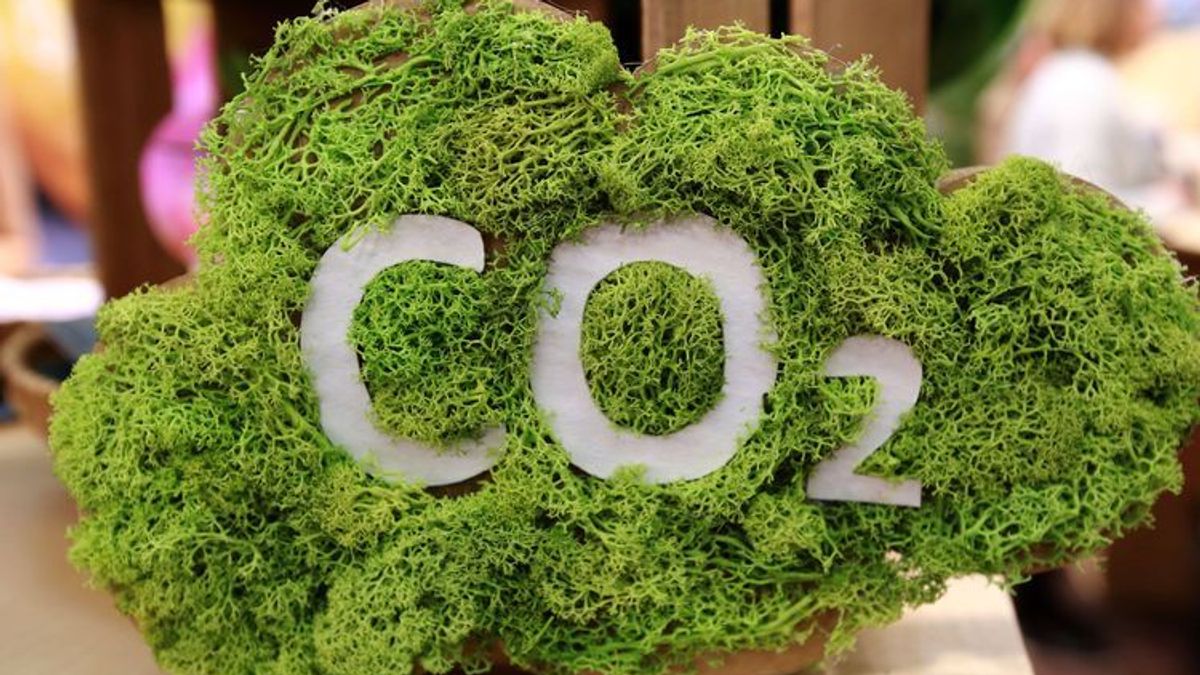 Lebensmittel: So wichtig ist eine CO₂-Kennzeichnung