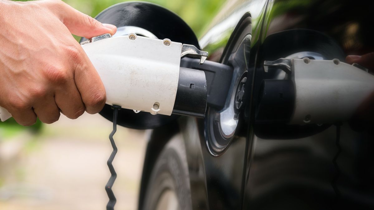 Mans hand inserting charger plug into electric car in green environment background. New energy vehicle, NEV is being loaded with electricity power. Ecology, modern day cars