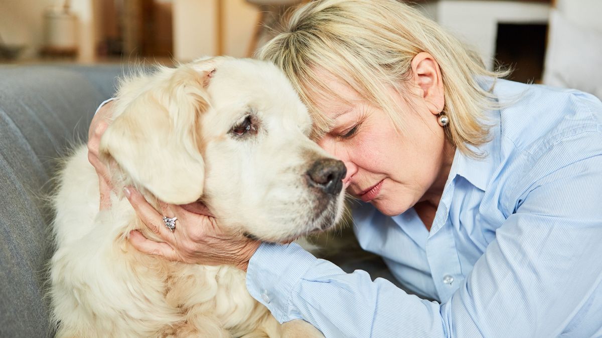 Hund und Besitzer traurig