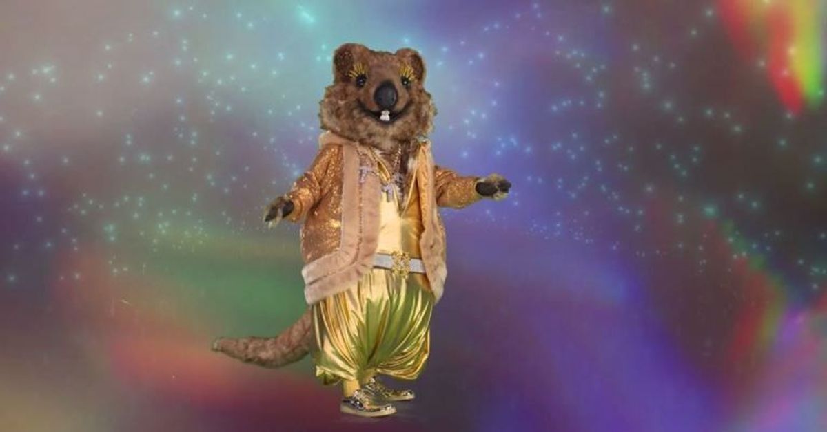 Exklusiv: Ein neues Indiz zur Identität des Quokkas