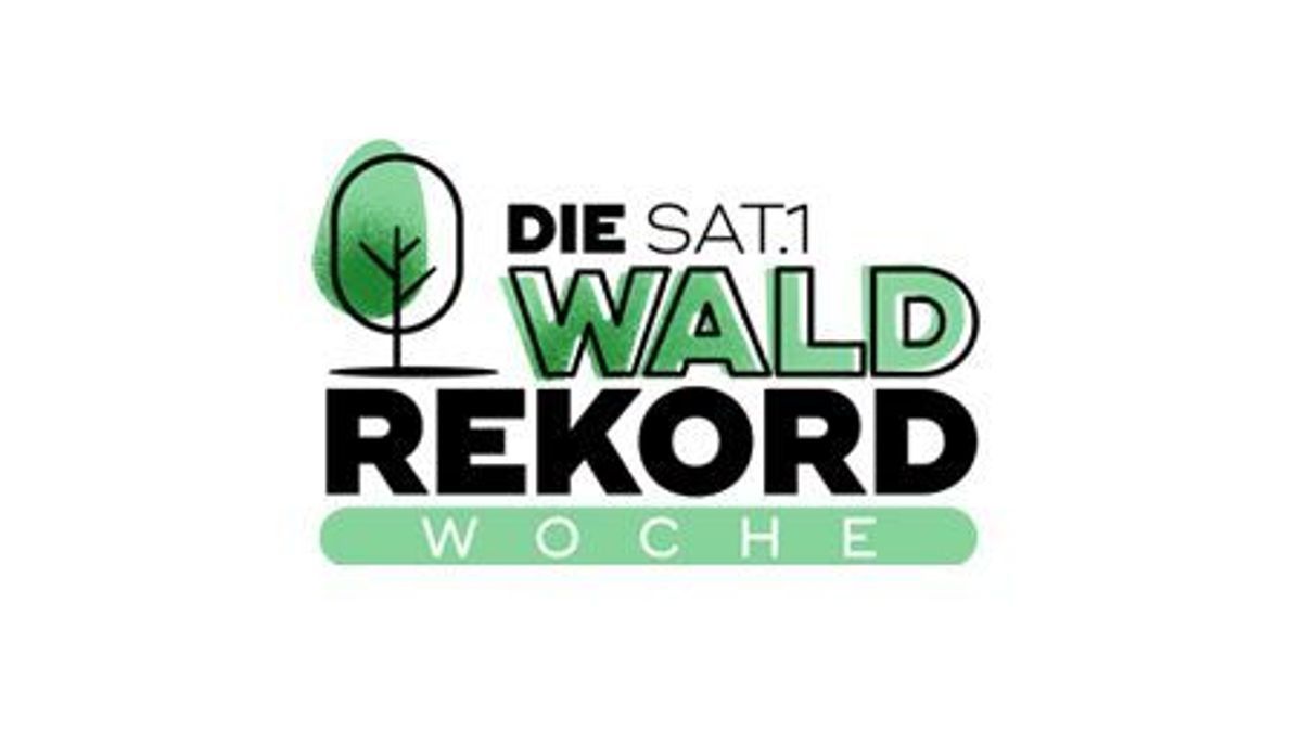 waldrekord-teaser-452x254