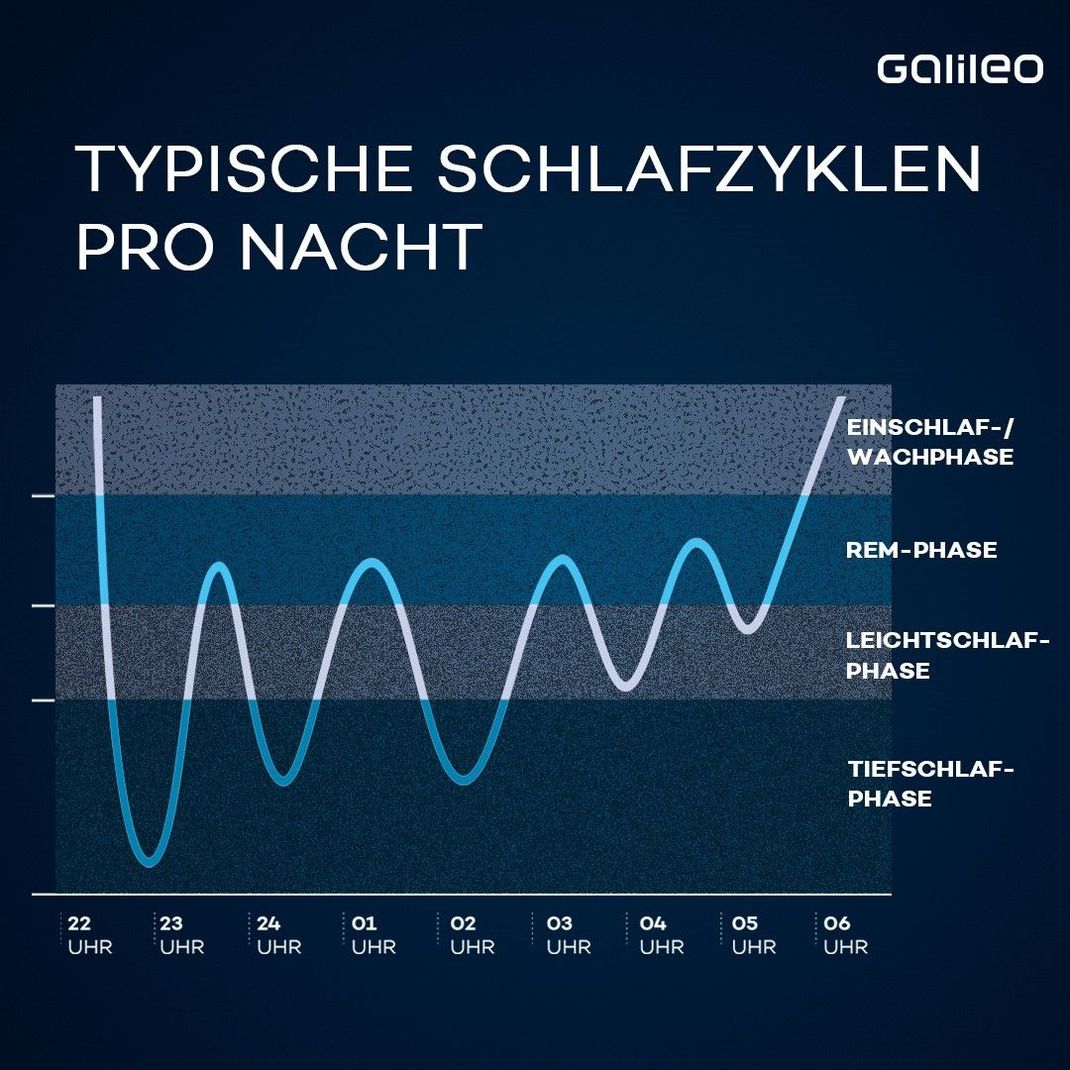  Typische Schlafzyklen pro Nacht