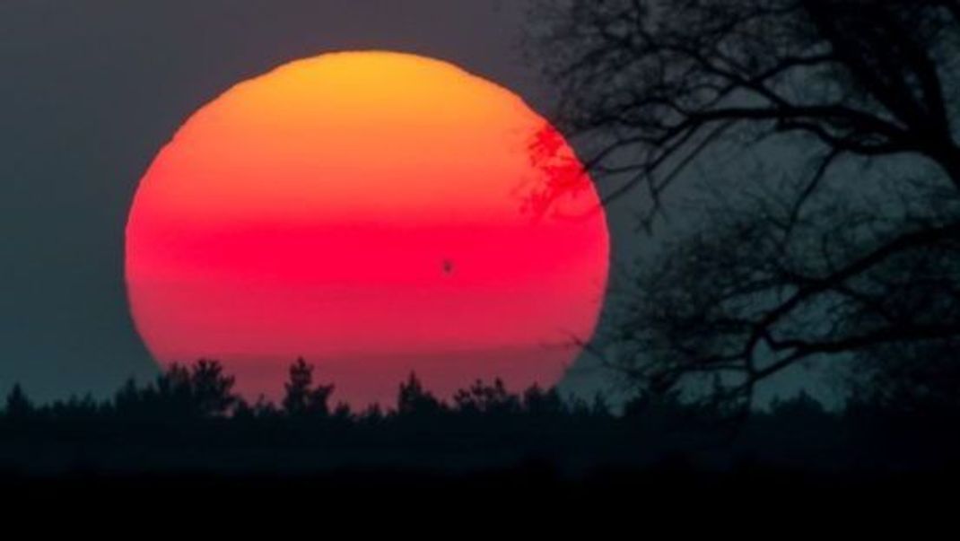 Nein, das ist kein Staubkorn auf der Kameralinse, sondern ein großer Sonnenfleck auf der farbenprächtigen Abendsonne.