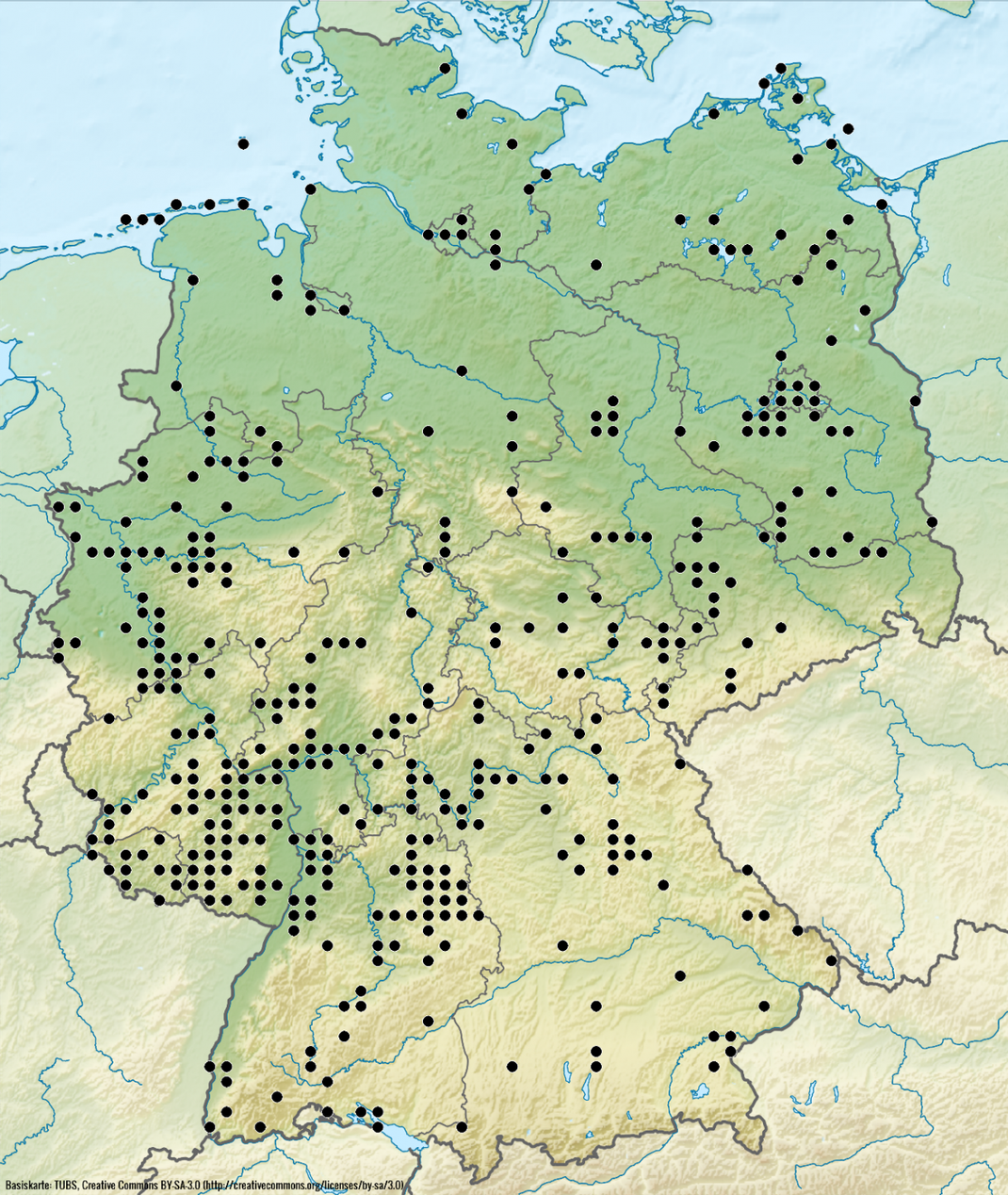 Hier kommt die Große Hauswinkelspinne vor.