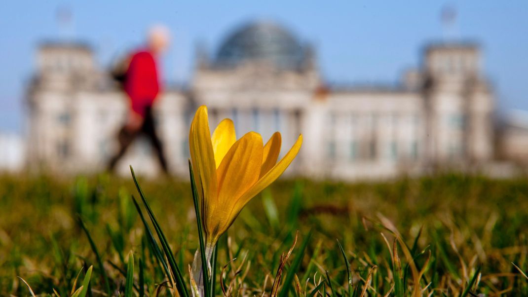 Der kalendarische Frühlingsanfang am Mittwoch (20. März) bringt Sonnenschein und höhere Temperaturen nach Deutschland.