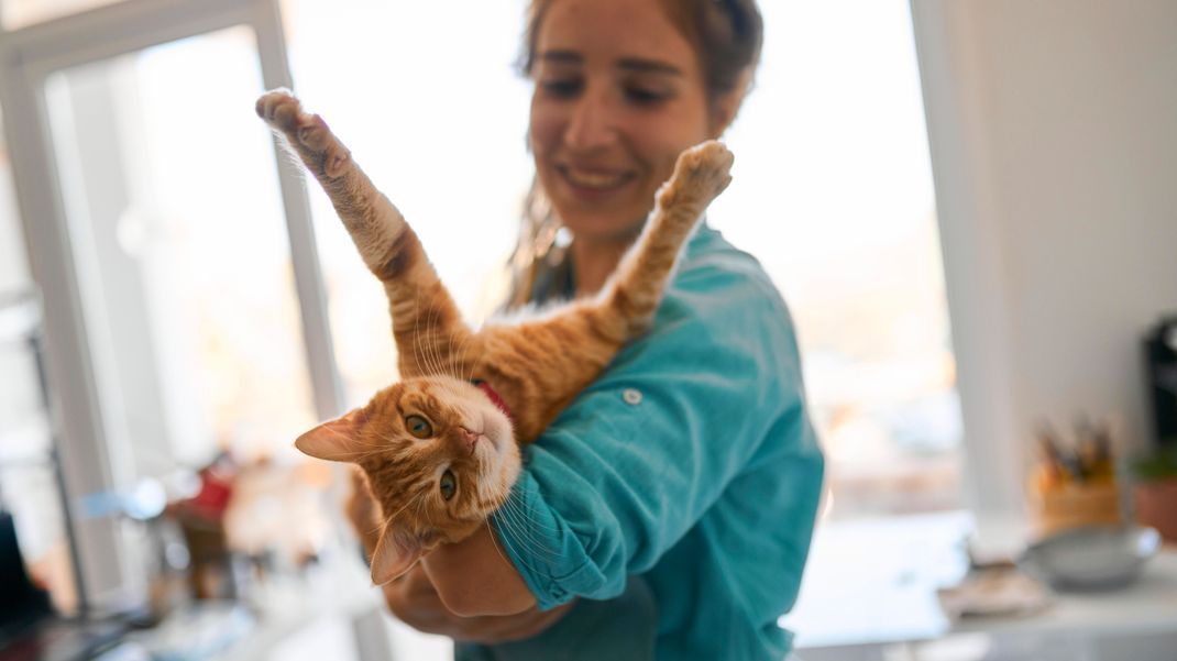 Eine Frau spielt mit ihrer Katze auf dem Arm.