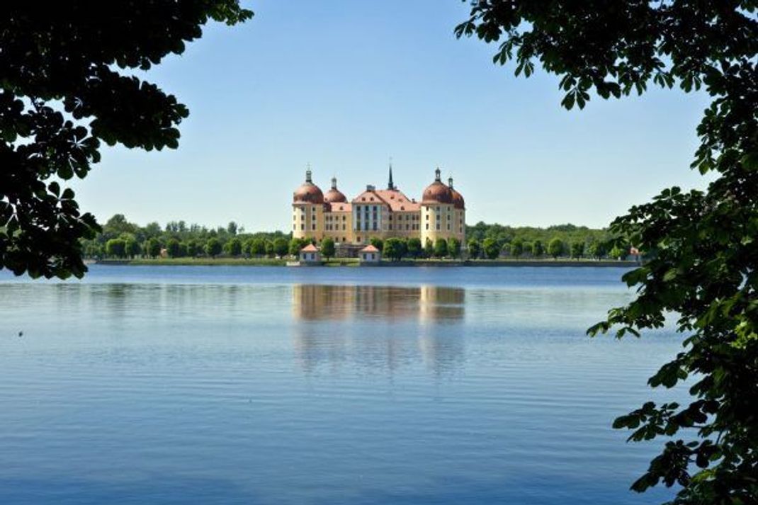 Viele Schlösser in Deutschland sind Jagdschlösser - wie das Schloss Moritzburg bei Dresden.