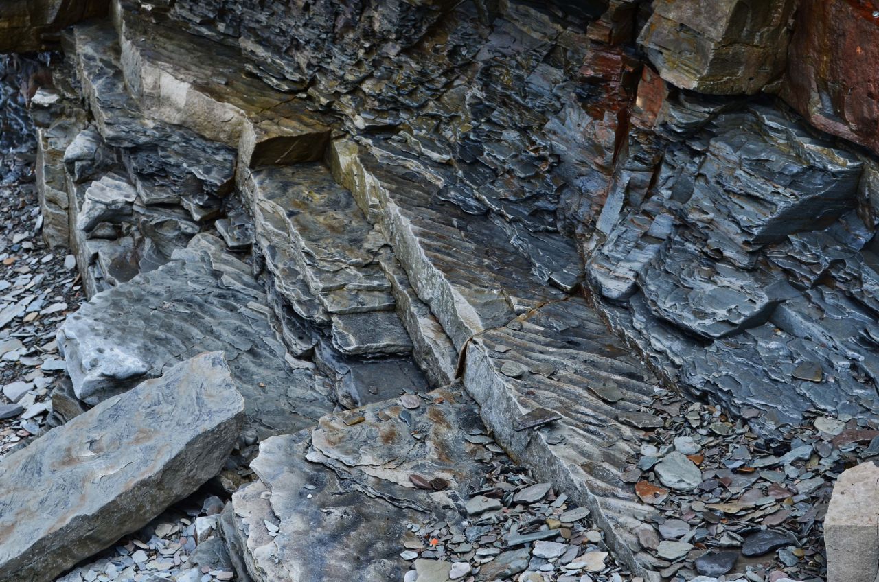 Auch an der Bay of Fundy gelegen, sind die Joggins Fossil Cliffs berühmt für ihre Fossilien und Gesteinsschichten, die bei Ebbe freigelegt werden. Besucher können Fossilien aus vergangenen Zeitaltern bestaunen.