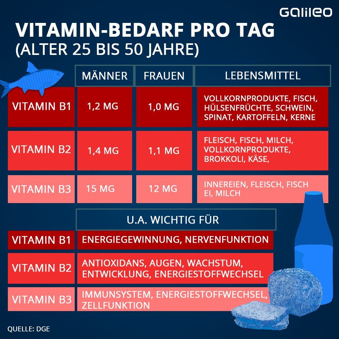 Vitamin A, Zink, Proteine und Co.: Wieviel dein Körper davon braucht